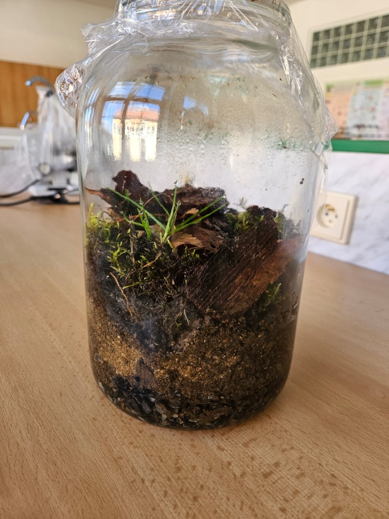 1762520181_Obrazek-WhatsApp-2025-11-07-v-13.44.38-5b20ec81